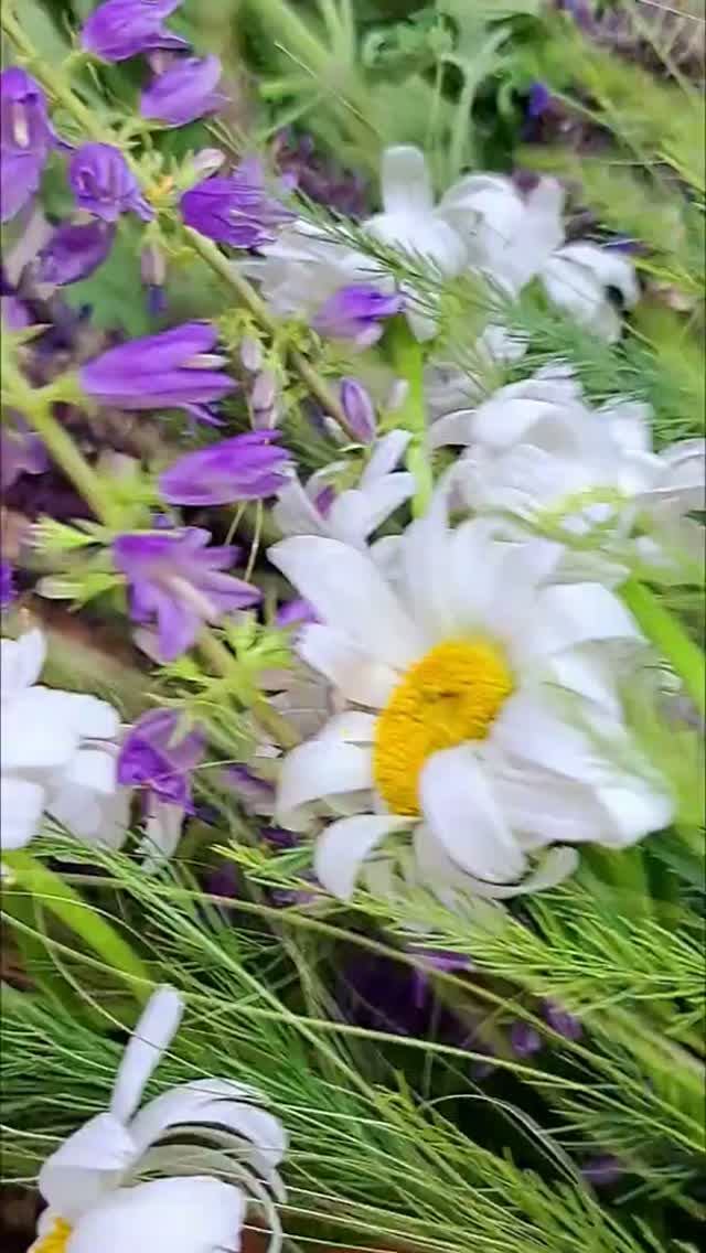Хорошего Всем дня!💐💐💐