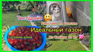 15-06-2026/Переехали на юг/Работаем на улице/Пробуем косить/Огород/Готовлю первое,второе/Поехали /