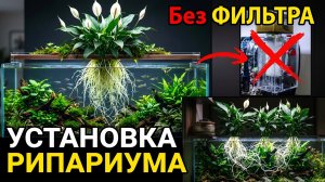 СЕКРЕТНОЕ наземное растение: 7 НЕОСПОРИМЫХ преимуществ СПАТИФИЛЛУМ в аквариумах