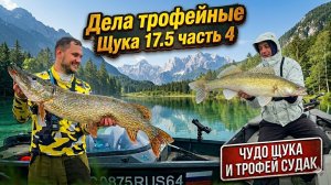Щука 17.5кг. Часть 4. Три дня рыбалки на монстров.