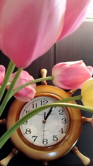 Время, время, времечко... ⏰