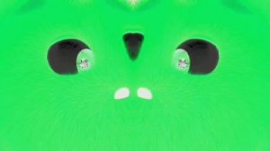 sunny bunnies effects