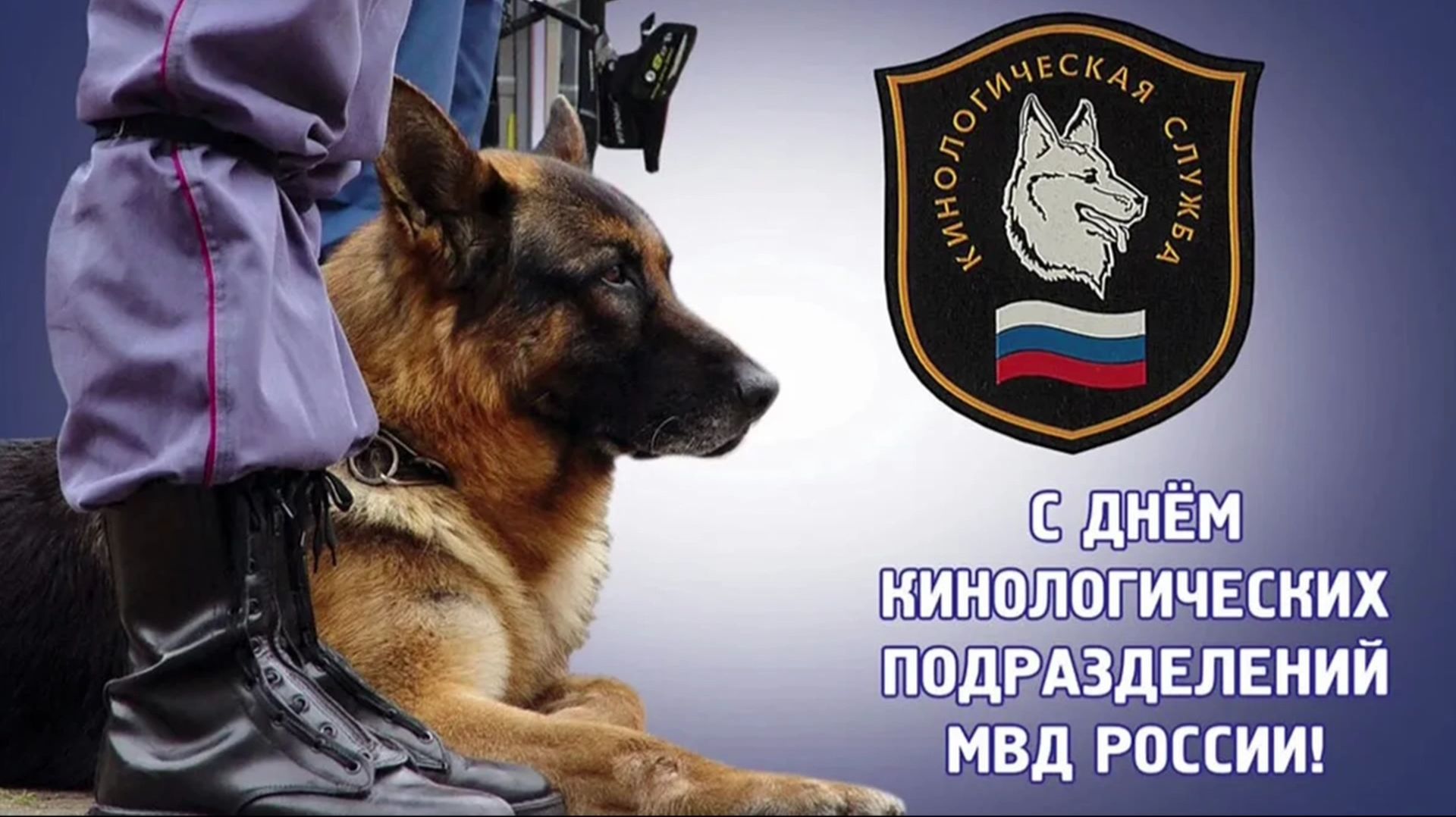 Пёс по кличке Лорд стал гостем программы «С 7 до 10»