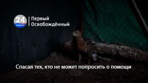 Спасая тех, кто не может попросить о помощи.  15.06.2026