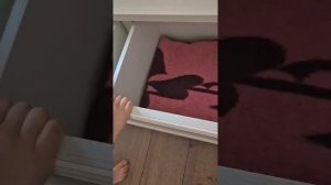 влог приехала с подружкой на дачу❤