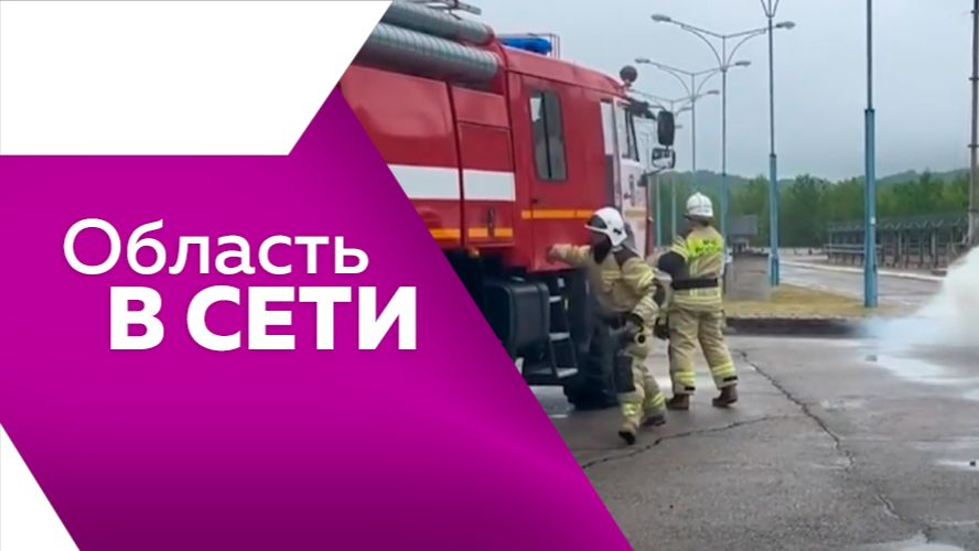 Область в сети №351
