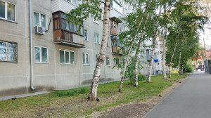 Пернатые друзья снова с нами! 🙂/ Новосибирск 15.06.2026