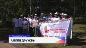 Рябиновую аллею дружбы высадили в парке «Светлоярский» в столице Приволжья