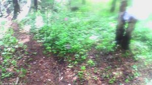 1000029343.mp4