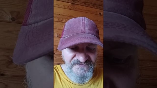 Сказка о Рыбаке и Рыбке - Анатомия Матриархата!