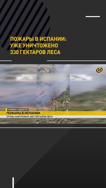 Пожары в Испании: уже уничтожено 330 гектаров леса