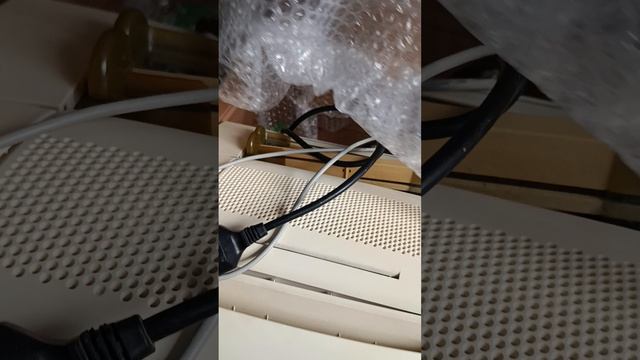 1000031764.mp4