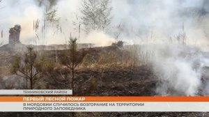 В Мордовии случилось возгорание на территории природного заповедника
