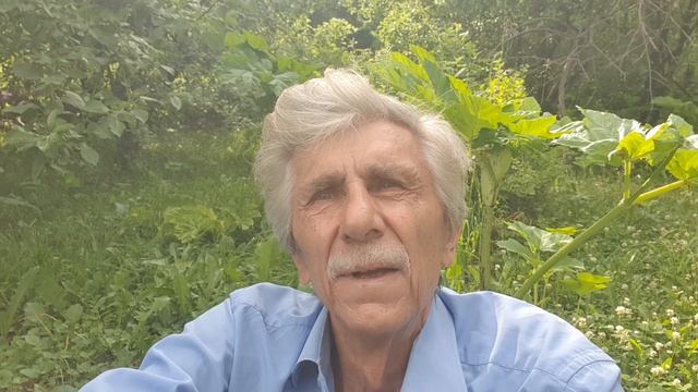 Мои годы... смотреть онлайн