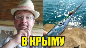 Микроджиг на море