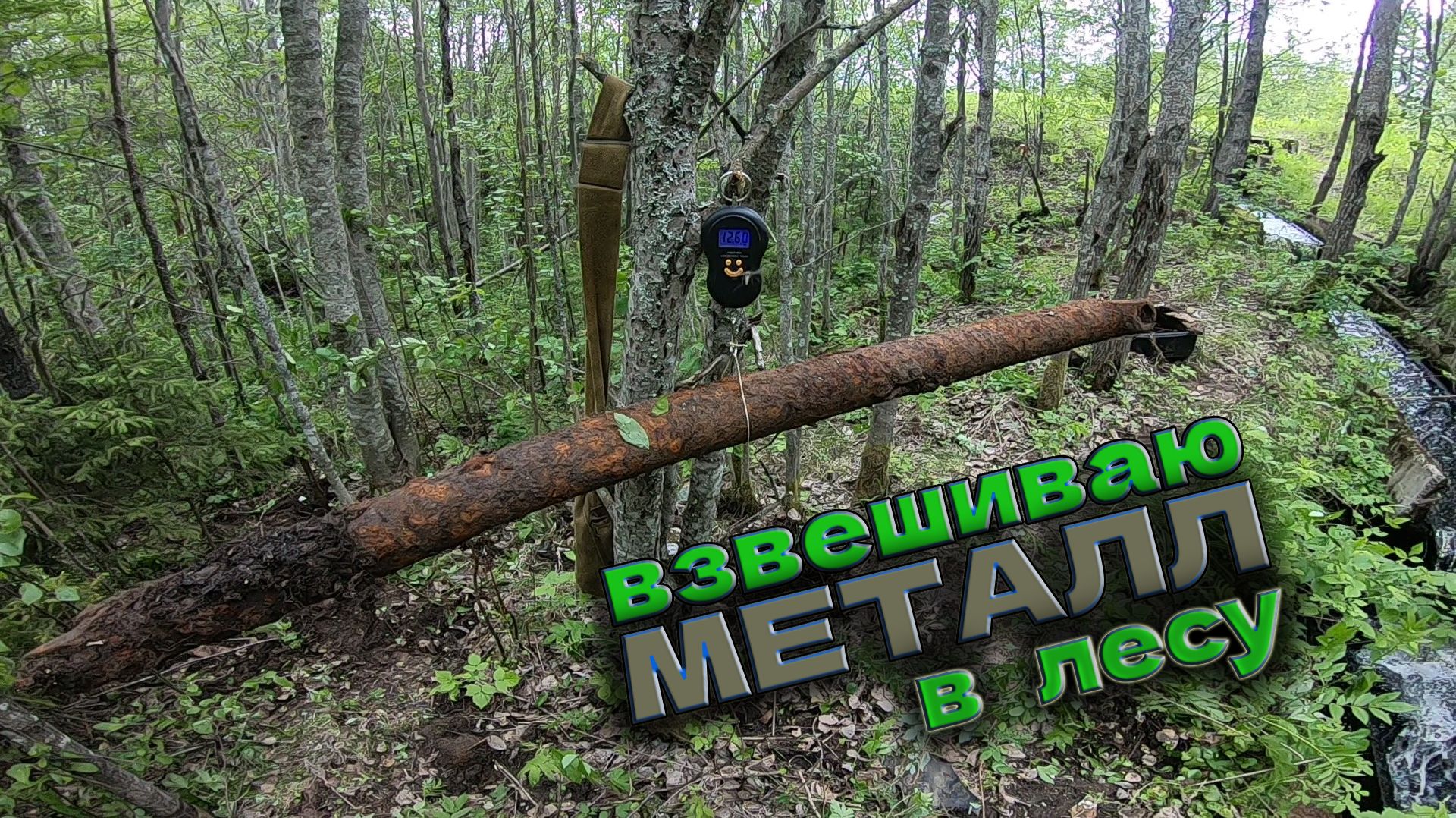 Копаю в Лесу_Взял с собой весы_Попадается ЦветМет_Много Свинца. Дождь прогнал #копметаллавлесу