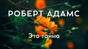 Это тайна - Роберт Адамс [Nikosho]