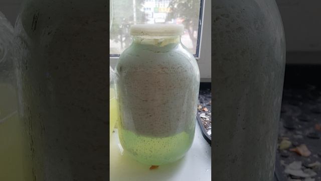 20260615 Что такое сыворотка и простокваша Кисломолочные продукты Творог из кислого молока скисшего