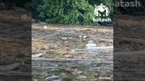 Туристы ужаснулись состоянием Юмагузинского водохранилища в Башкирии