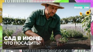 Что посадить на огороде в июне? | Миллион вопросов — Москва 24 | Контент