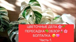 ЦВЕТОЧНЫЕ ДЕЛА.🌸🍀 ОБЗОР. 💖🌷ПЕРЕСАДКА. 🍀БОЛТАЛКА.🌺🌳 Часть-1.
