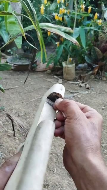 самопал