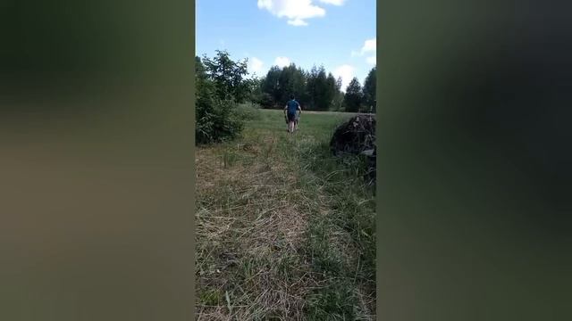 Обход кроликов.