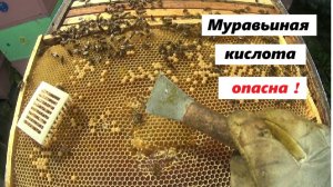 Резултаты обработки муравьиной кислотой в крышках.