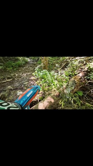 #syrokenduro #syrok365 #enduro #эндуро #рек