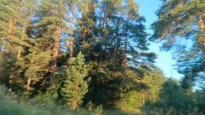 Где-то там далеко рассвет безбрежен...