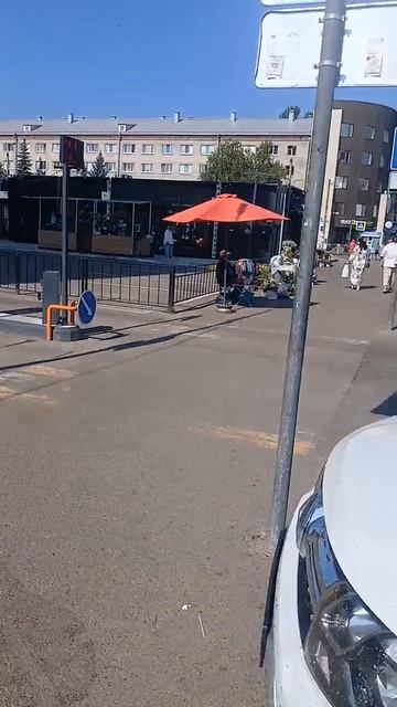 Казань торгуем ягодами
