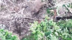 💥Бои в Харьковской области: наши операторы БпЛА сожгли укрытие украинских националистов
