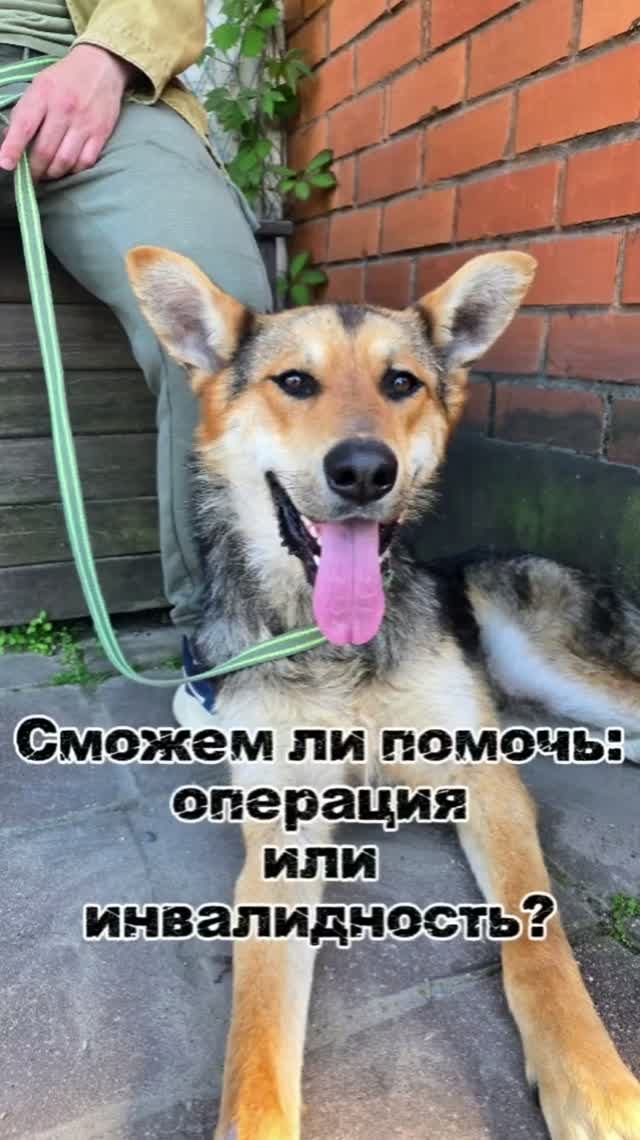 Операция или инвалидность? Жить без боли или страдать до конца дней?