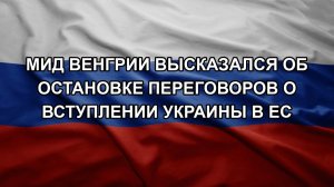 МИД Венгрии высказался об остановке переговоров о вступлении Украины в ЕС