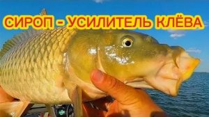 Сироп для Карпа,Сазана, Карася, Леща