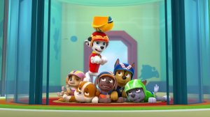 Щенячий патруль. Бульдозер Крепыша. Крепыш игра. Вертолёт Скай. Paw Patrol миссии. Часть 3