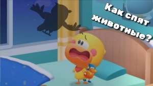 Игра «BabyBus. Как спят животные. Как спят жирафы». Детская познавательная игра.
