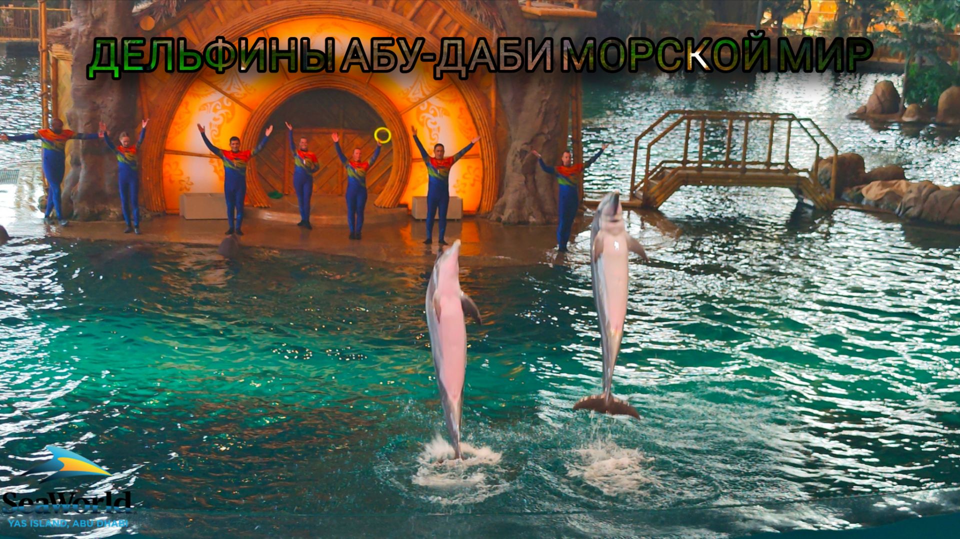 Шоу дельфинов в SeaWorld Abu Dhabi 4K  Достопримечательности ОАЭ