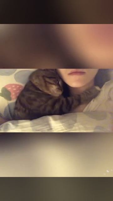 Спят усталые игрушки))