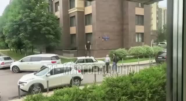 Малолетние мигранты разбили чужую тачку в Москве