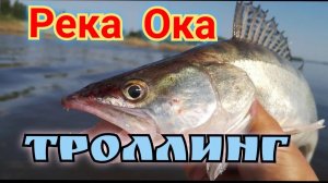 Рыбалка на Оке,троллинг, вечерний жор рыбы