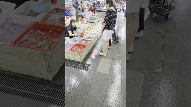 Китай | Шэньчжэнь | рыбный рынок | China 🇨🇳