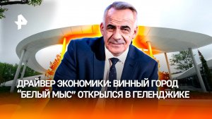 Белый мыс в Геленджике стал символом суверенитета российского виноделия