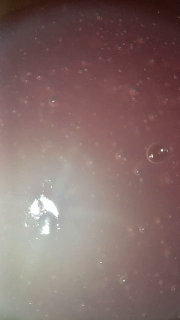 3594.mp4