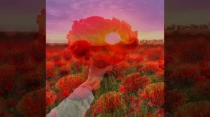 Даже, если упадёт куда-то в тень…. Майя Ананьева