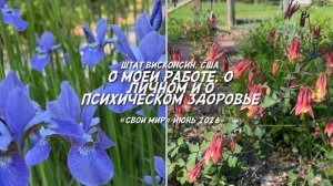 О важности психического здоровья и медитации