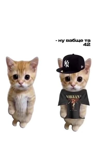 как понять что ты умный?!... смотреть онлайн