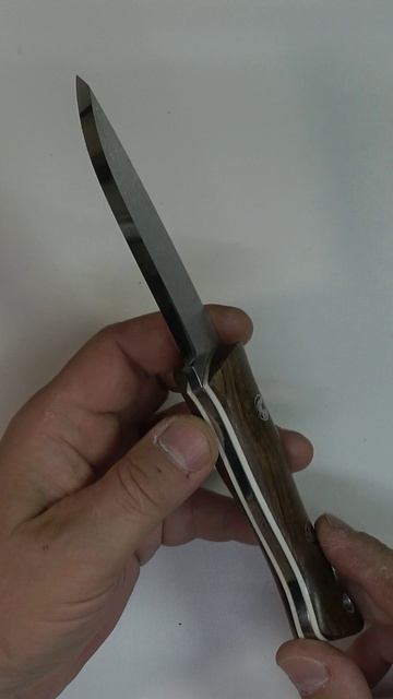 Beaverknife America 2.0 #shorts #вгостях #beaverknife #america2 #bushcraft