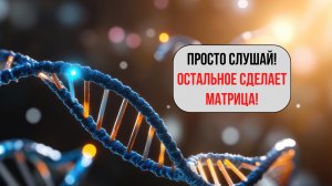 НОВАЯ Универсальная Матрица 30 мин | С Звуками Природы • Расслабление и Восстановление 2026
