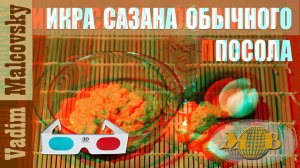 3D stereo red-cyan Икра сазана обычного посола. Как посолить икру сазана. Мальковский Вадим